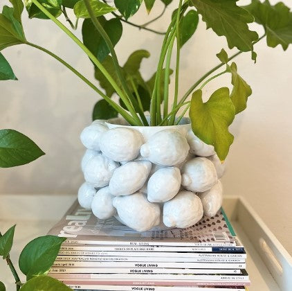 Mode Lemon Planter