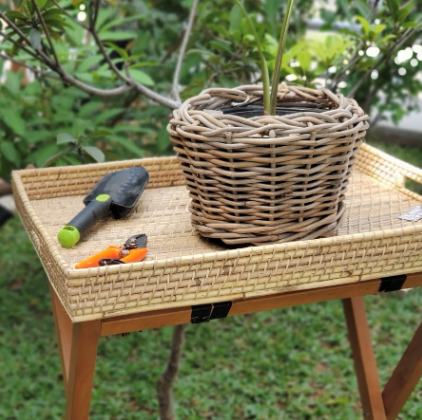 Weave Butler's Tray