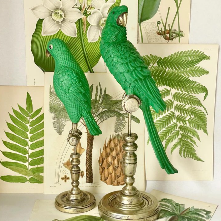 Parrot on Stand in Green