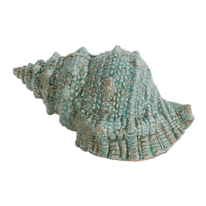 Seashell Decor