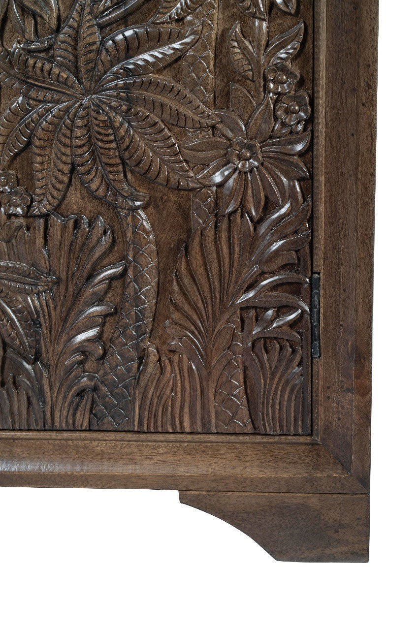 Castaway 2 Door Cabinet