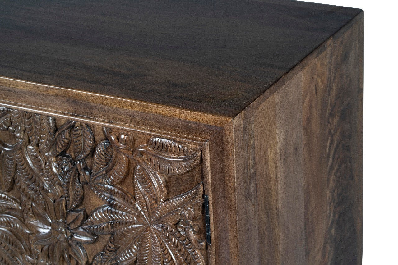 Castaway 2 Door Cabinet