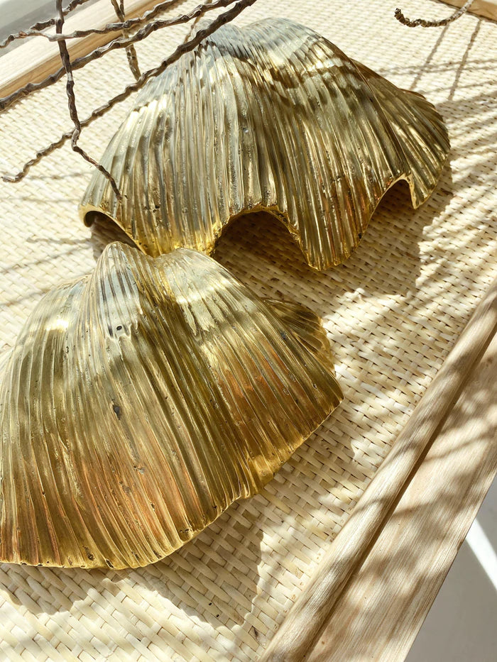 The Brass Clam Shell