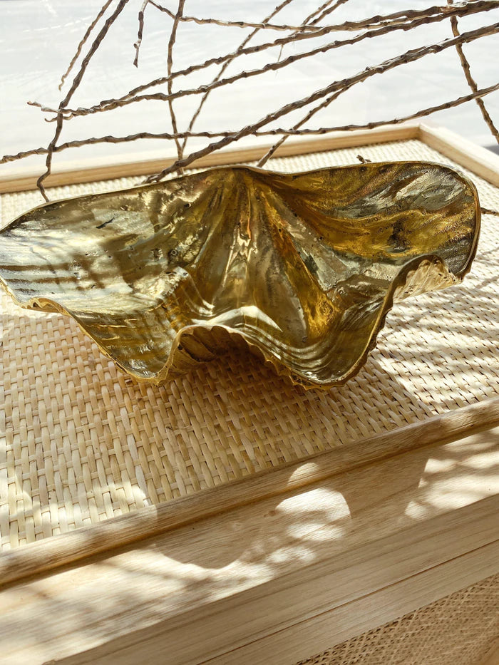 The Brass Clam Shell
