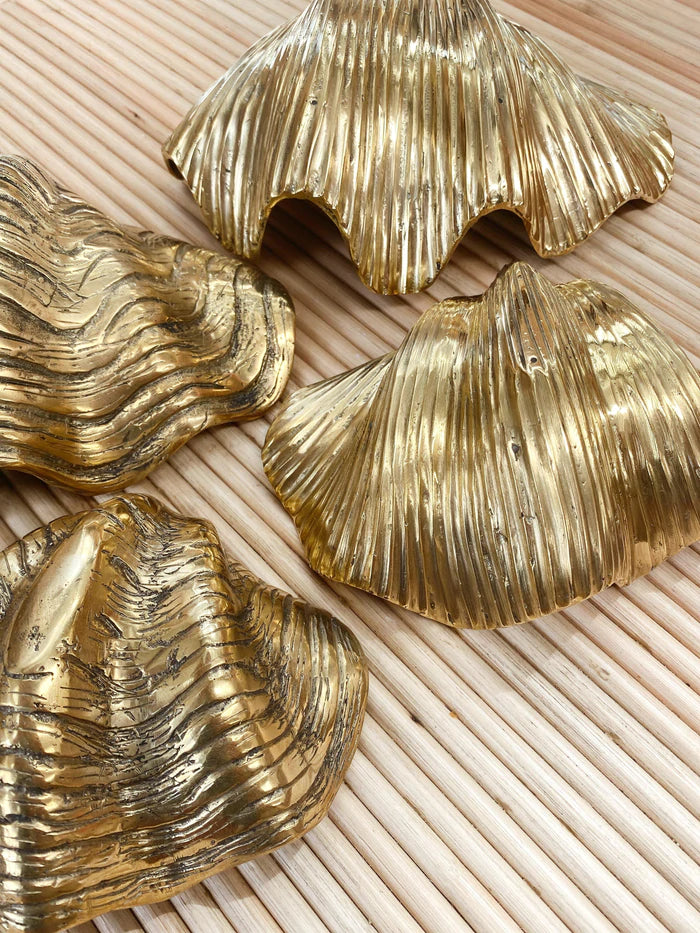 The Brass Clam Shell - Natural - Medium