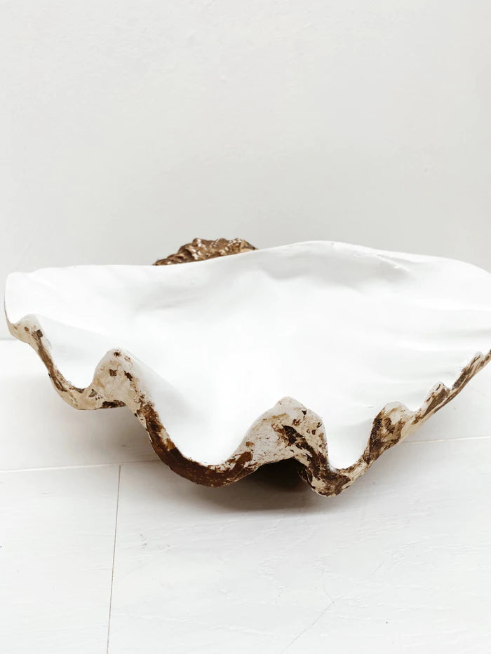 The Clam Shell in Natural