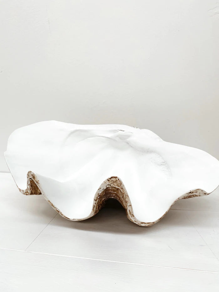 The Clam Shell in Natural
