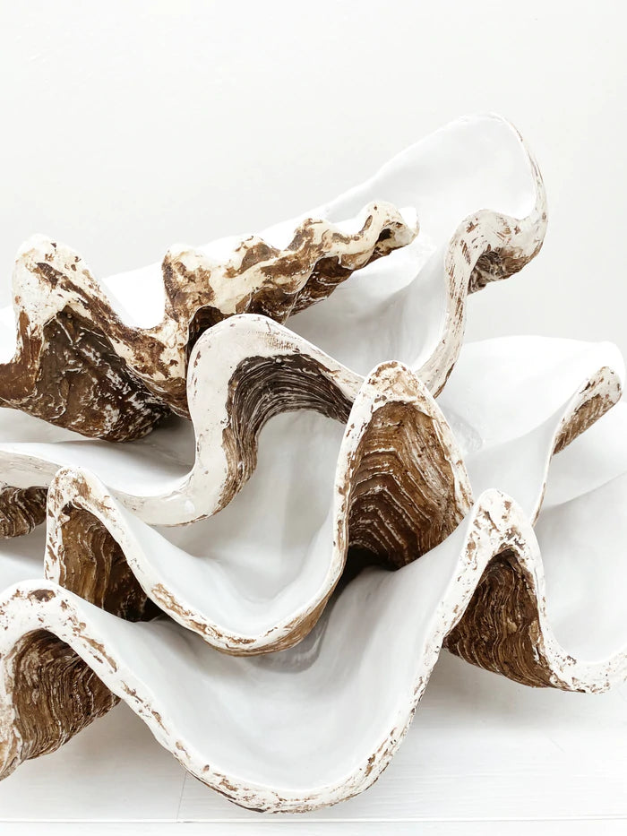 The Clam Shell in Natural