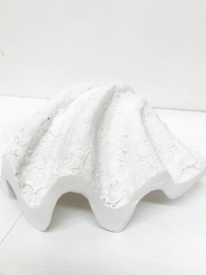 The Clam Shell in White