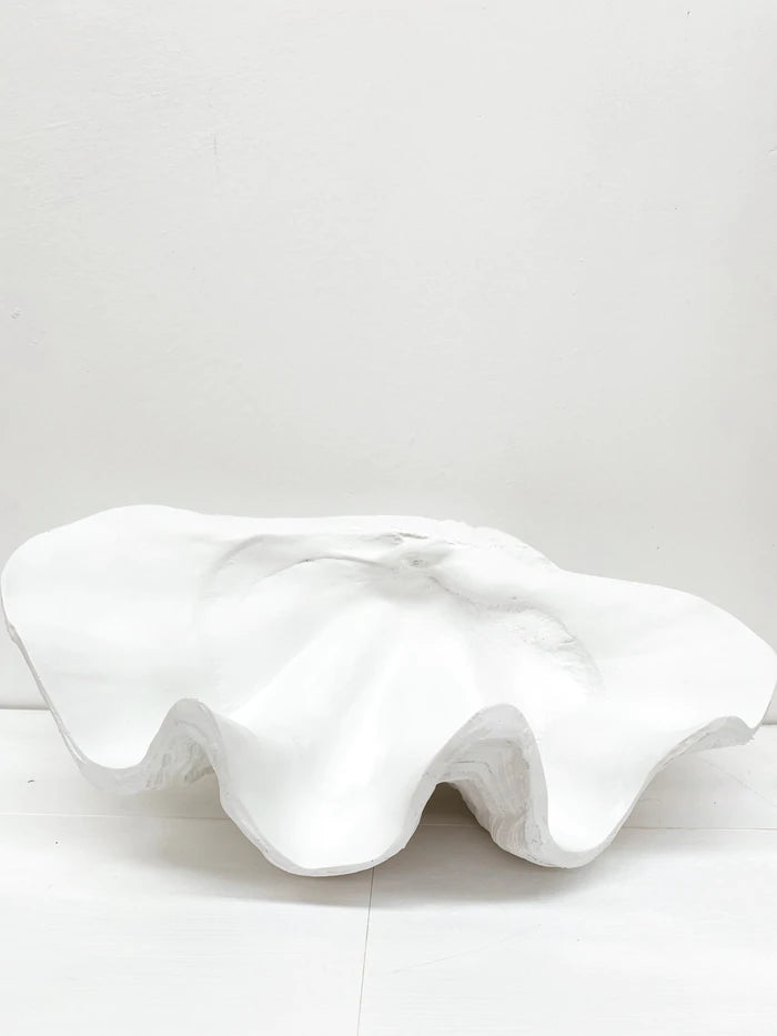 The Clam Shell in White