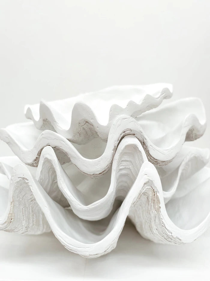 The Clam Shell in White