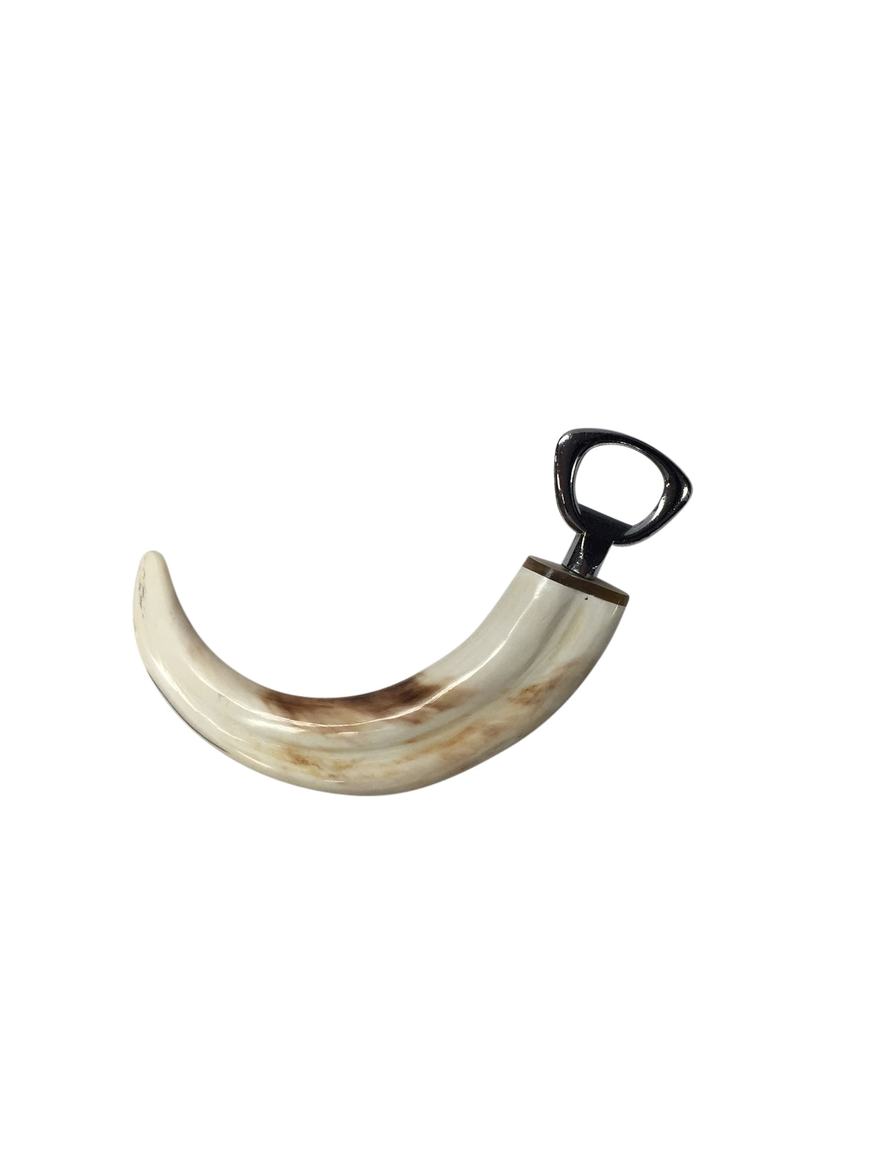 Warthog Tusk Bottle Opener