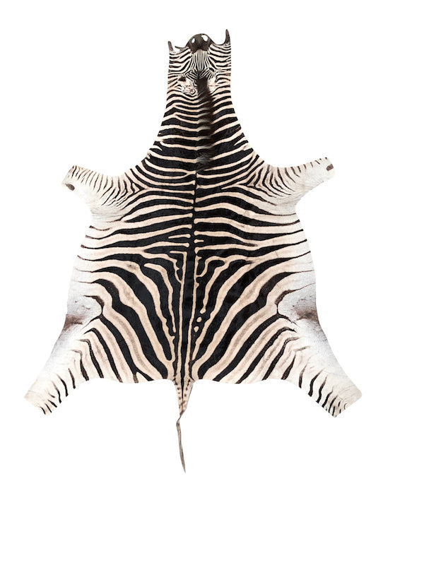 Authentic Zebra Hide Rug