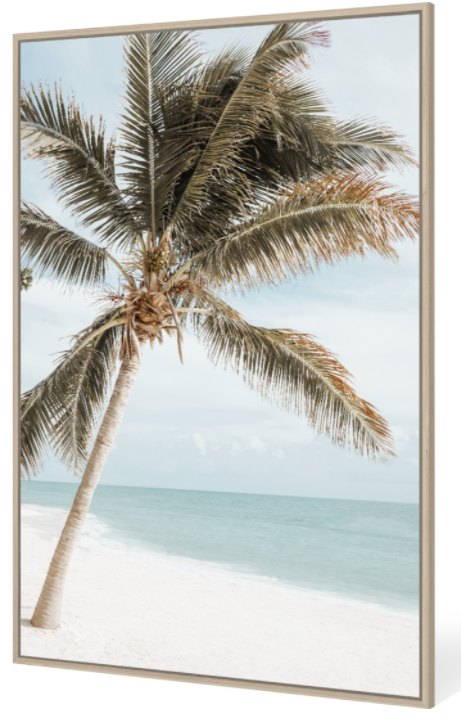Palm Beach Wall Art