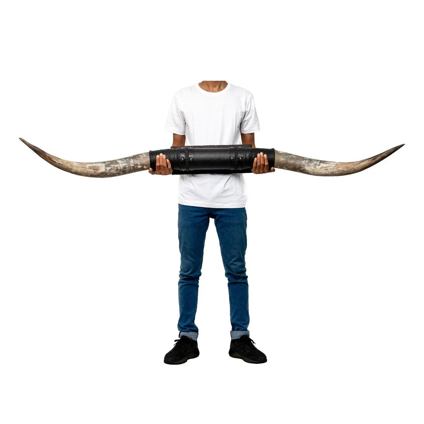 Buffalo Long Horns