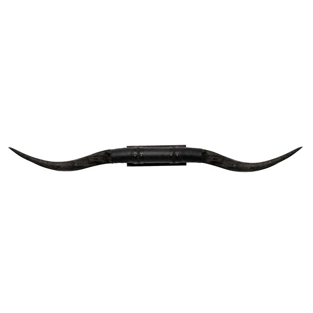 Buffalo Long Horns