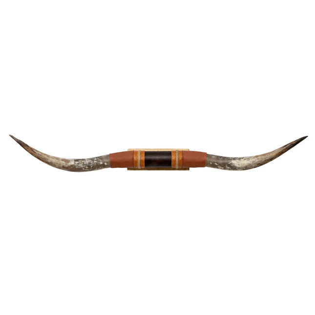 Buffalo Long Horns