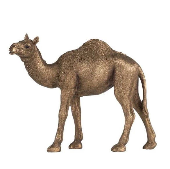 Cairo Standing Camel