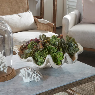 Giant Clam Shell - Natural Look - Clearance