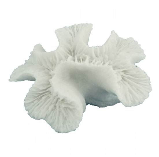 Ridged Cactus Coral