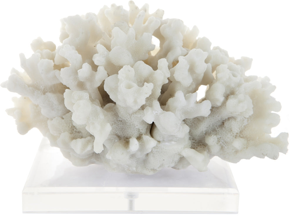 Port Douglas Decorator Coral in White