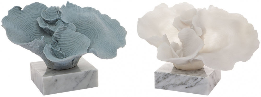 Mossman Decorator Coral