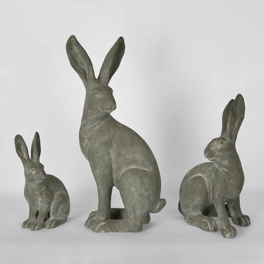Hamish Hare - Sitting