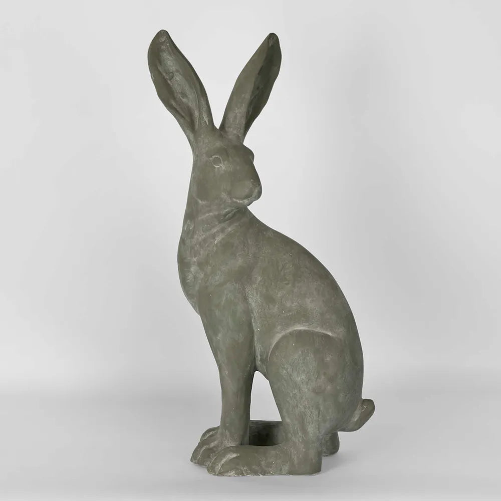 Hamish Hare - Standing