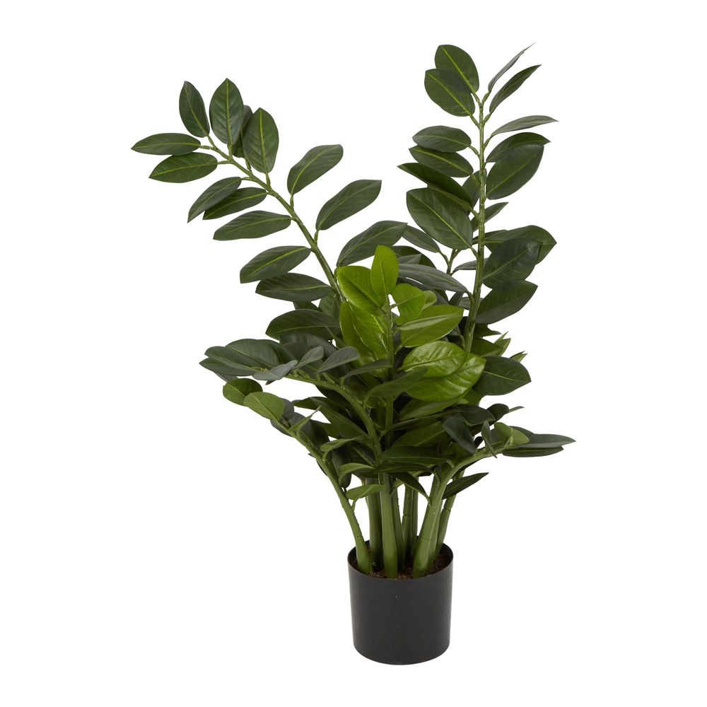 Smargago Plant