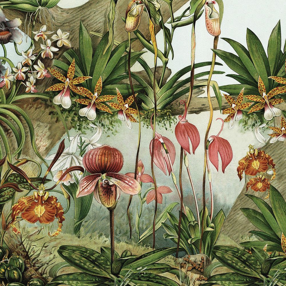 New Concept Moveable Wall Paper - Orchids