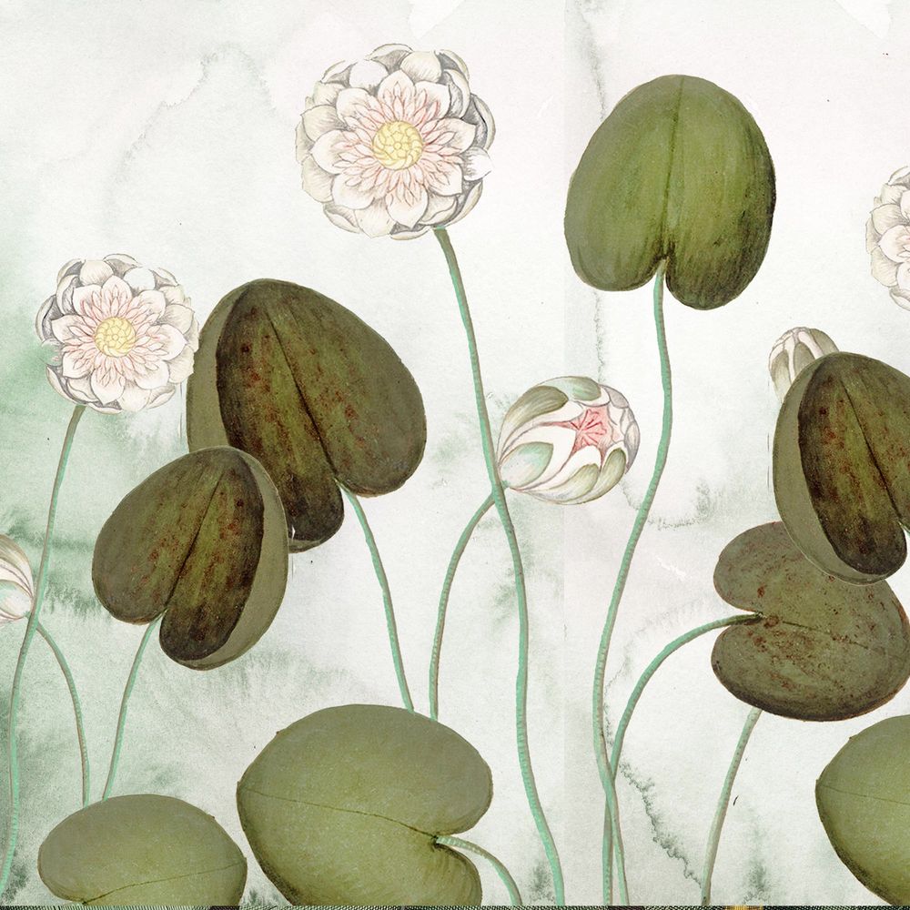 New Concept Moveable Wall Paper - Lotus Flower