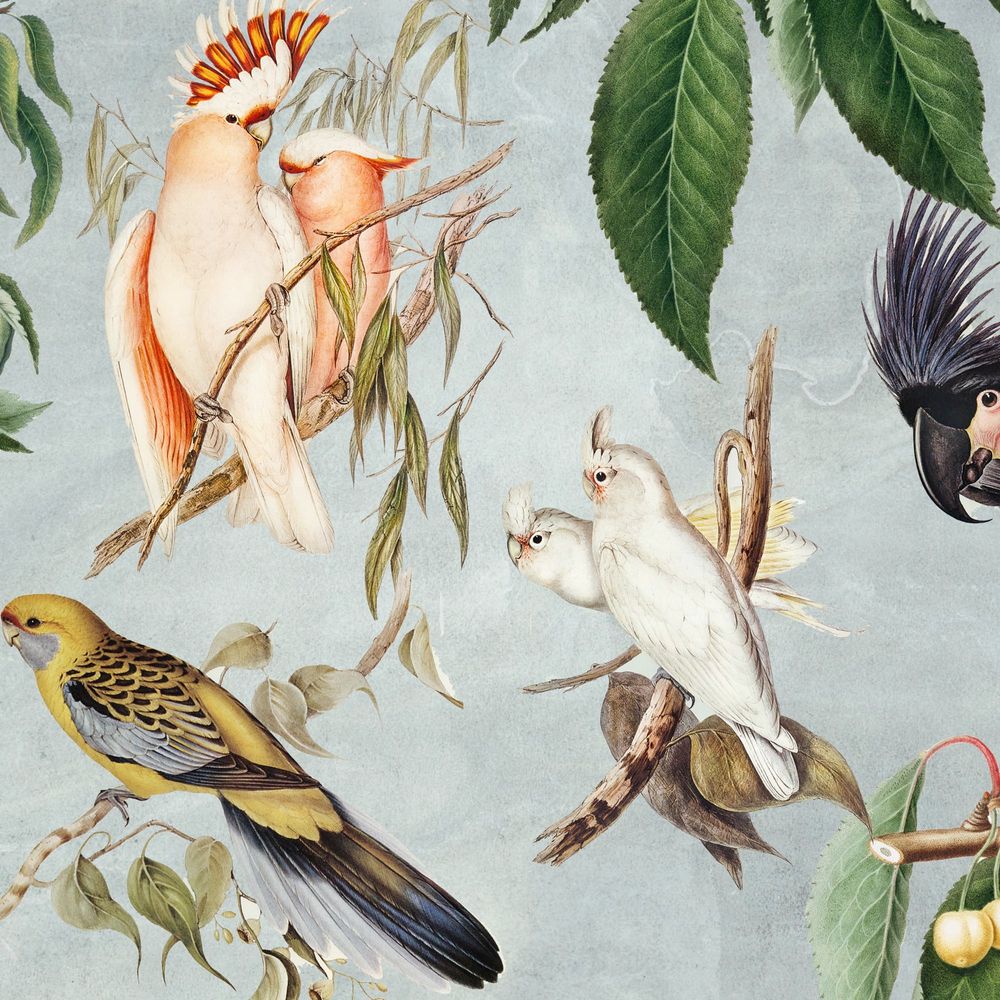 New Concept Moveable Wall Paper - Cockatoos
