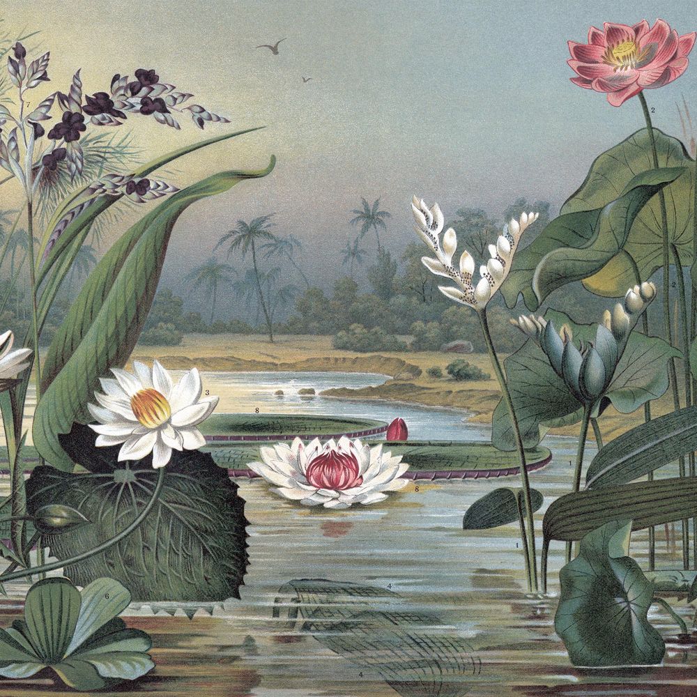 New Concept Moveable Wall Paper - Lotus Flower