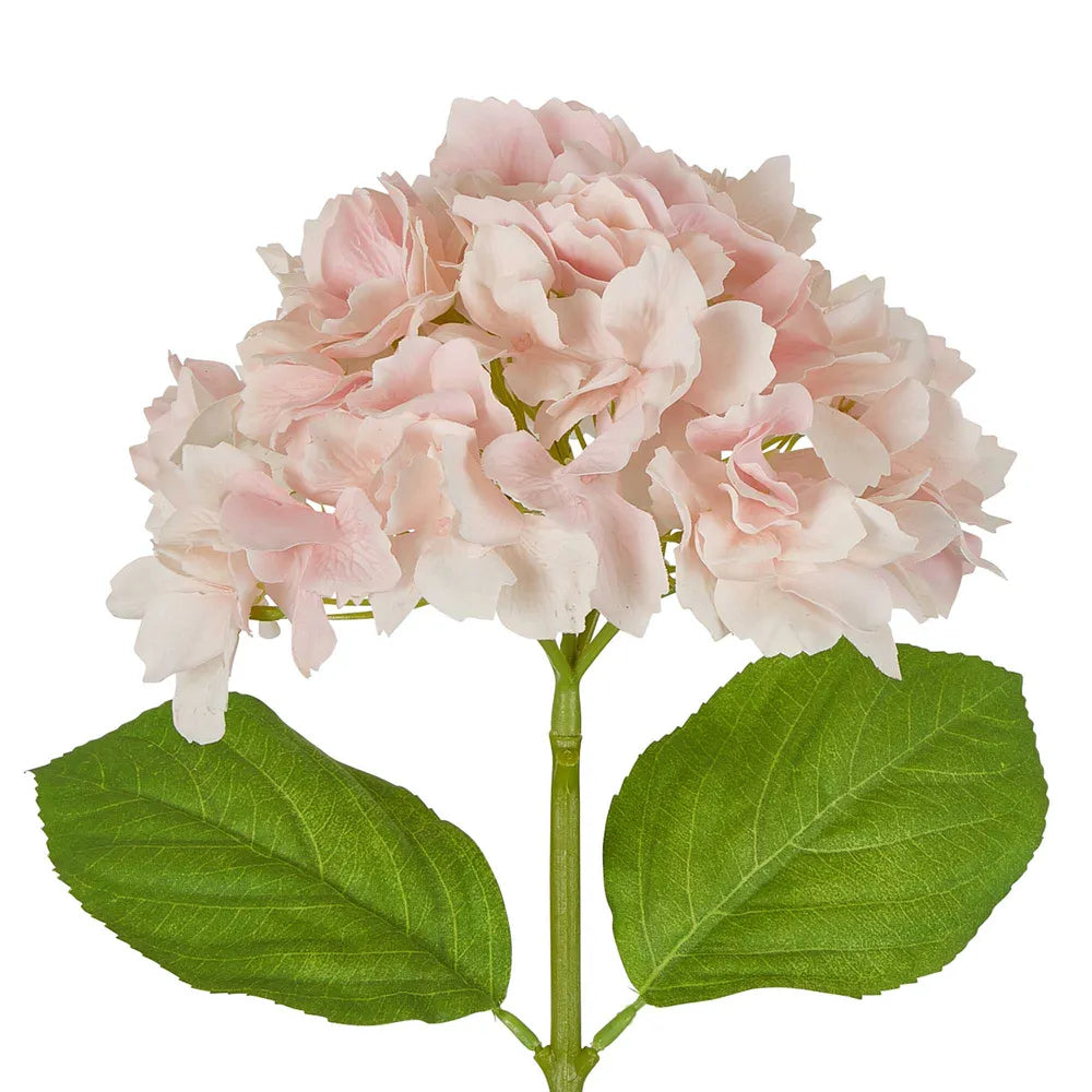 Hydrangea Flower 50cm Stems (Set of 3)