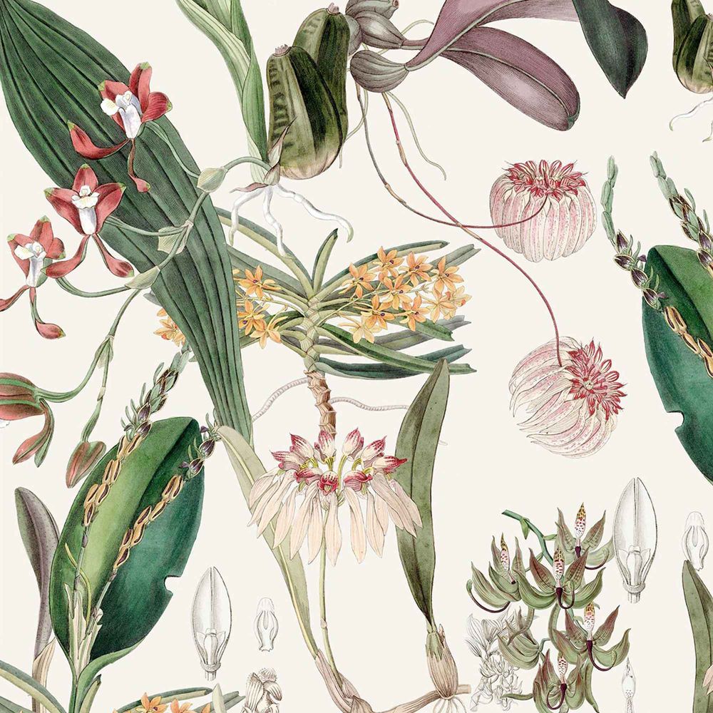 New Concept Moveable Wall Paper - Orchids