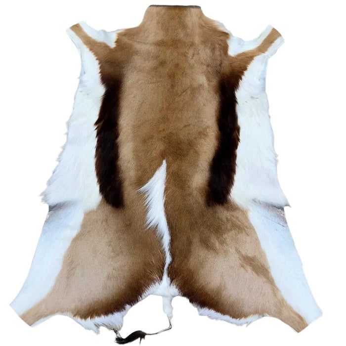 Springbok Hide Rug