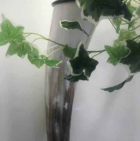 Jola Horn Single Vase