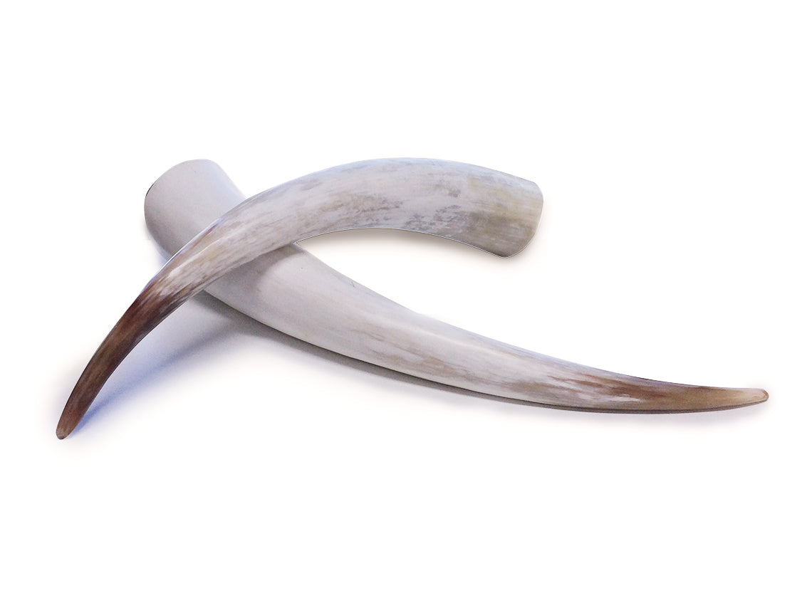 Jola Horn Single Vase