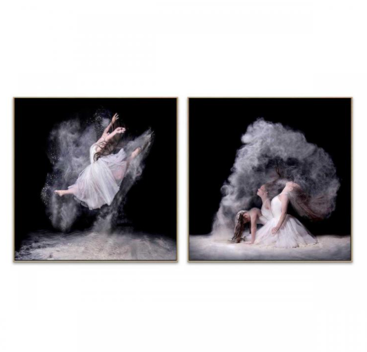 Leap Canvas Prints