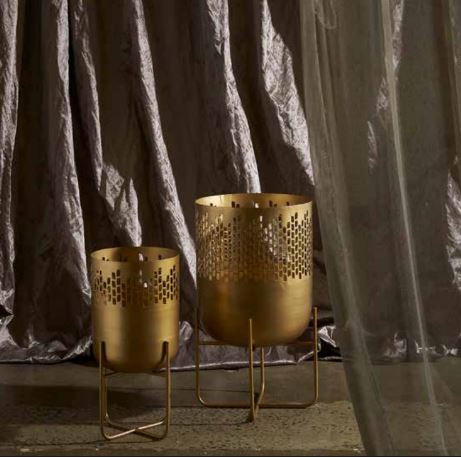 Gold Lace Hurricane