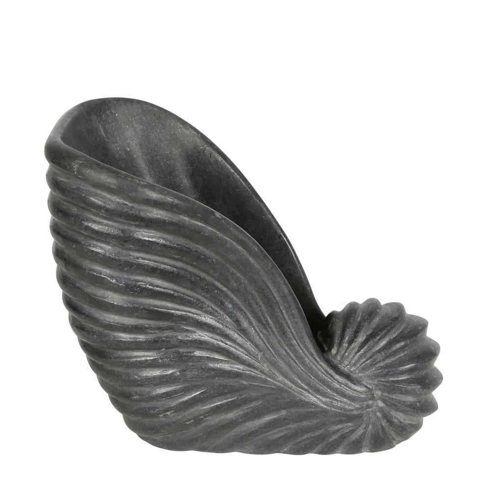 Marble Conch