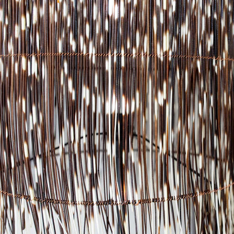 Porcupine Lamp Shades