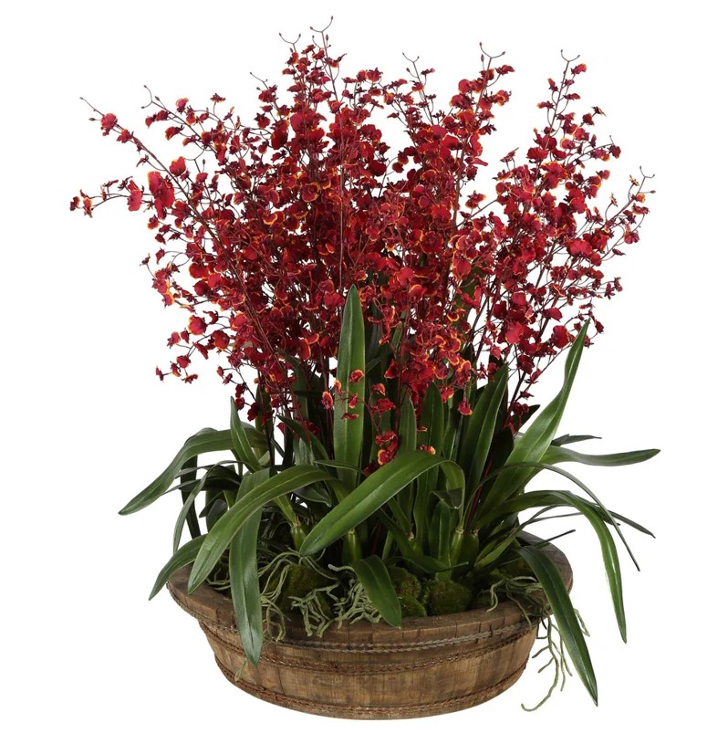 Red Dancing Orchids